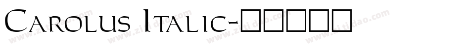 Carolus Italic字体转换
